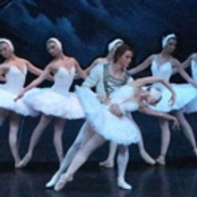 Photo Flash: Inside Look at St Petersburg Ballet Theatre's SWAN LAKE