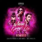Dimitri Vegas & Like Mike's WHEN I GROW UP Gets Fresh Perspective With Remix Package