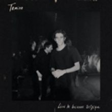 Colin Greenwood Joins Tamino on Latest Live Single 'Indigo Night'