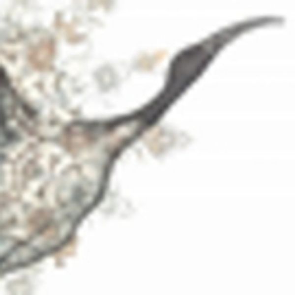 Met Opera's Lauren Flanigan To Star In Must-See Cultural Event FLIGHT OF THE IBIS Photo