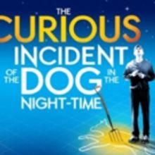 2018-2019 National Theatre Live Broadcasts Start At The MAC With JULIE, Today