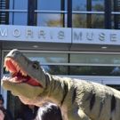 BWW Previews: DINO FAMILY DAY at Morris Museum