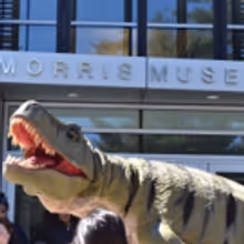 BWW Previews: DINO FAMILY DAY at Morris Museum