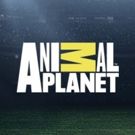 The Irwin Family Comes Home to Animal Planet in New Series