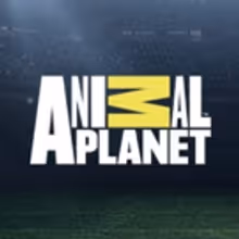 The Irwin Family Comes Home to Animal Planet in New Series