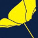 Thalia's Umbrella To Produce World Premiere By Local Playwright Y York