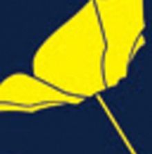 Thalia's Umbrella To Produce World Premiere By Local Playwright Y York