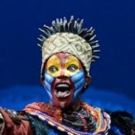 BWW Interview: Actress Gugwana Dlamini Talks THE LION KING