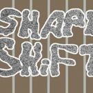 SHAPE SHiFTER Opens This Weekend in Brooklyn