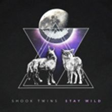 The Shook Twins Release New Track STAY WILD Out Now