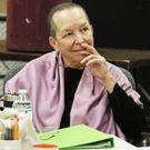 BWW Interview: Pearl Cleage of HOSPICE + POINTING AT THE MOON at Alliance Theatre