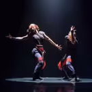 Chicago Dance Crash to Laugh Off the Past with CRASH YEAR 15