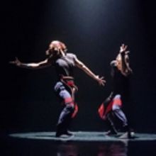 Chicago Dance Crash to Laugh Off the Past with CRASH YEAR 15