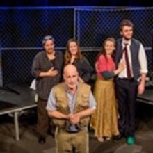 BWW Review: Brooklyn's Theater 2020 Makes its Way Into the Woods