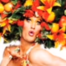 PRISCILLA QUEEN OF THE DESERT to Return to Australia on Tour!