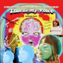 The Chocolate Watchband Release New Album 'This Is My Voice'