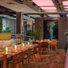 BWW Review: GREEN FIG - SOCIAL DRINK & FOOD - GREEN ROOM - Your Destinations in the…