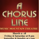 A CHORUS LINE Comes to Music Mountain Theater