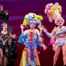 PRISCILLA LA REGINA DEL DESERTO: il musical al Teatro Europauditorium di Bologna