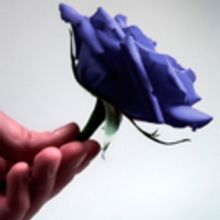 Tickets Now On Sale for Annual Dinner For Provincetown Tennessee Williams Theater Fes