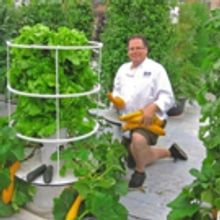 Chef Spotlight: Chef John Mooney of BELL BOOK & CANDLE in Greenwich Village