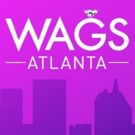 The Ladies of WAGS ATANTA Bring Southern Charm When New Series Debuts on E! 1/3