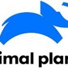 Animal Planet Launches New Global Brand Identity