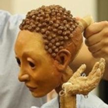 BWW Review:  The Public Theater's Mobile Unit Offers A Free THE WINTER'S TALE