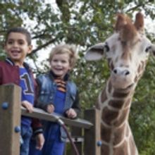 The Barbican's Framed Film Festival Returns For Another Weekend Of Screenings & Free