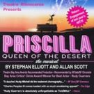 PRISCILLA, QUEEN OF THE DESERT Extends at Gateway Theatre