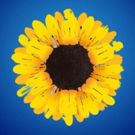 BWW Album Review: CALENDAR GIRLS (Original London Recording) is Just Nice