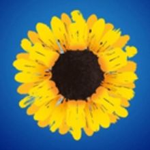 BWW Album Review: CALENDAR GIRLS (Original London Recording) is Just Nice