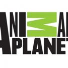 MONSTER WEEK 2018 Returns to Animal Planet Memorial Day Weekend