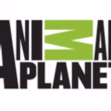 MONSTER WEEK 2018 Returns to Animal Planet Memorial Day Weekend