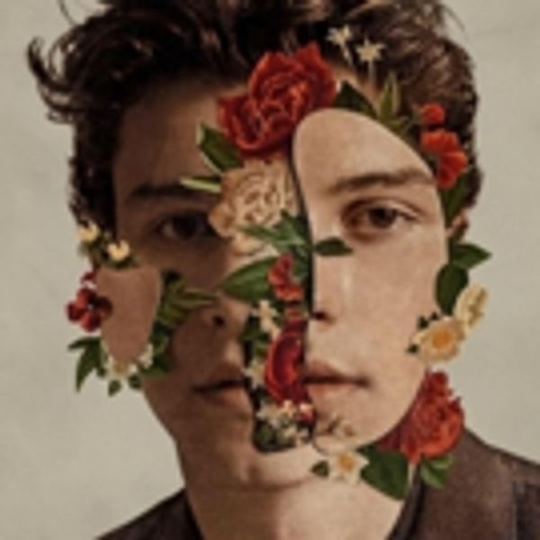 Shawn Mendes Releases SHAWN MENDES THE ALBUM Today Photo