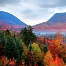 PBS and BBC Announce AUTUMNWATCH - NEW ENGLAND