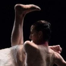 BWW Review: GRUPO CORPO's BACH & GIRA Brings Inexhaustible Ecstatic Exuberance to BAM