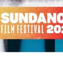 2019 Sundance Film Festival Announces Shorts Awards