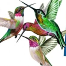 Cherry Lane To Host Talk Back Panel THE INFLUENCE OF INFLUENCERS