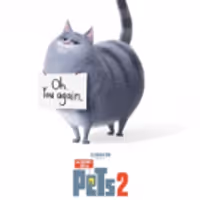 VIDEO: See Chloe in the Trailer for THE SECRET LIFE OF PETS 2 Video