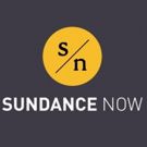 Sundance Now's Gripping International Thriller NEXT OF KIN to Make Its U.S. Debut Thursday, June 21