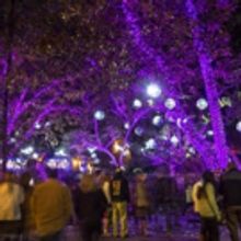 L.A. ZOO LIGHTS to Set the Zoo Aglow with Wonder This Winter