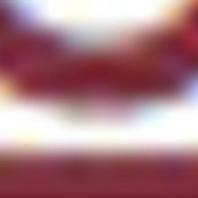 Manatee Players Produce World Premiere Of THE LONG REUNION