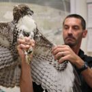 Smithsonian Channel to Premiere BIRD VS. PLANE: MIRACLE ON THE HUDSON