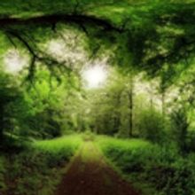 Jay O Sanders, Zach Grenier Headline Frog & Peach Gala Reading