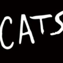 Walton Arts Center Brings CATS to Fayetteville 5/28 - 6/2!
