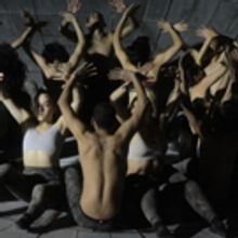 Omphalos Parte De La Esencia Que Encontré En Este País: Damien Jalet