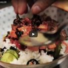 Food Film Fest Announces Participating Restaurants, Festival Trailer, Additional…