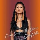 Singer-Songwriter Che'Nelle Debuts New Music Video for First Single 'Love You Like…