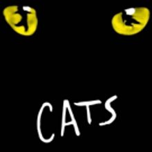 Broadway Training Center Of Westchester Presents CATS